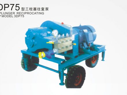 3DP75